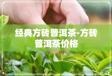 经典方砖普洱茶-方砖普洱茶价格