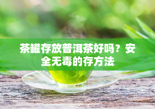 茶罐存放普洱茶好吗？安全无的存方法