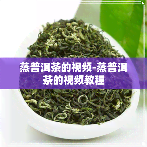 蒸普洱茶的视频-蒸普洱茶的视频教程