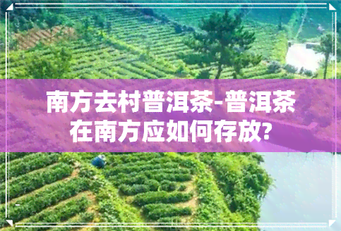 南方去村普洱茶-普洱茶在南方应如何存放?