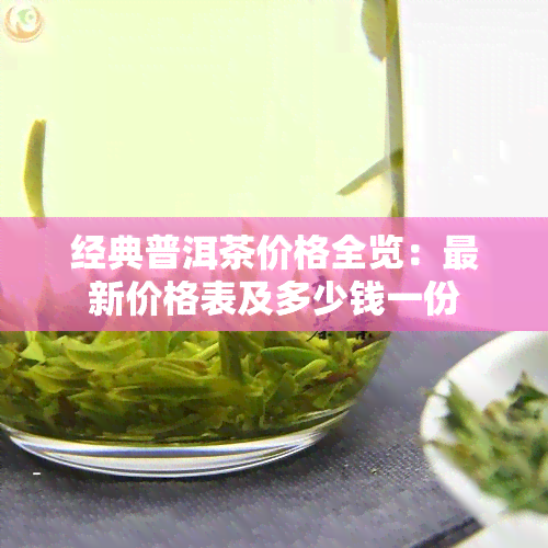 经典普洱茶价格全览：最新价格表及多少钱一份