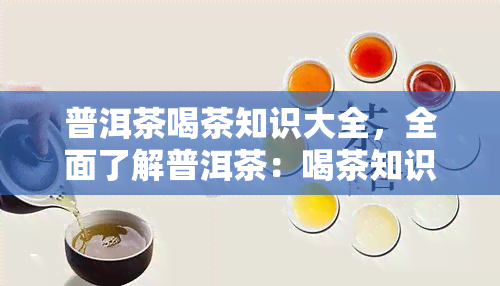 普洱茶喝茶知识大全，全面了解普洱茶：喝茶知识大全