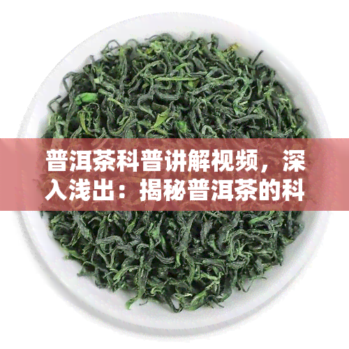 普洱茶科普讲解视频，深入浅出：揭秘普洱茶的科学知识与品鉴技巧