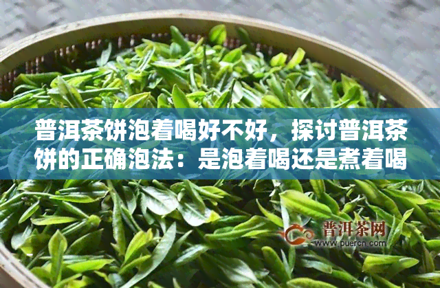 普洱茶饼泡着喝好不好，探讨普洱茶饼的正确泡法：是泡着喝还是煮着喝？