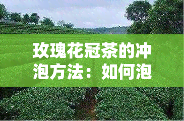 玫瑰花冠茶的冲泡方法：如何泡出好喝的玫瑰花冠茶？