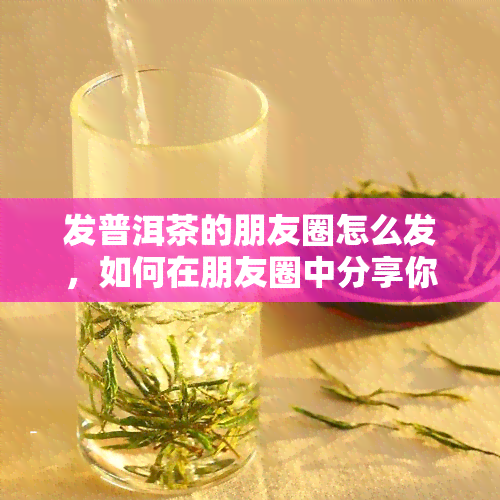 发普洱茶的朋友圈怎么发，如何在朋友圈中分享你的普洱茶体验？