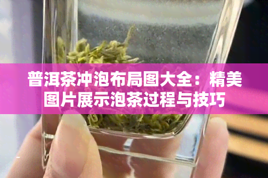 普洱茶冲泡布局图大全：精美图片展示泡茶过程与技巧