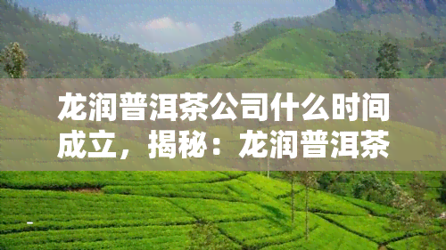 龙润普洱茶公司什么时间成立，揭秘：龙润普洱茶公司成立于何时？