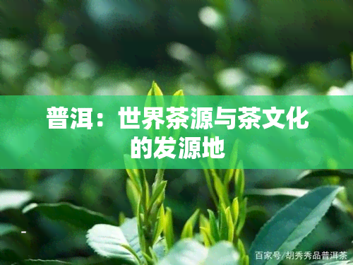 普洱：世界茶源与茶文化的发源地