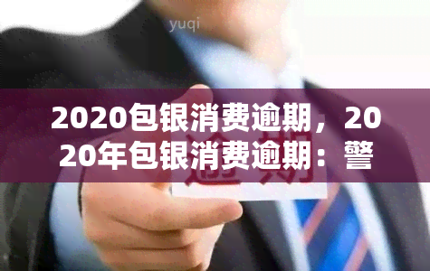 2020包银消费逾期，2020年包银消费逾期：警惕个人信用记录的重要性