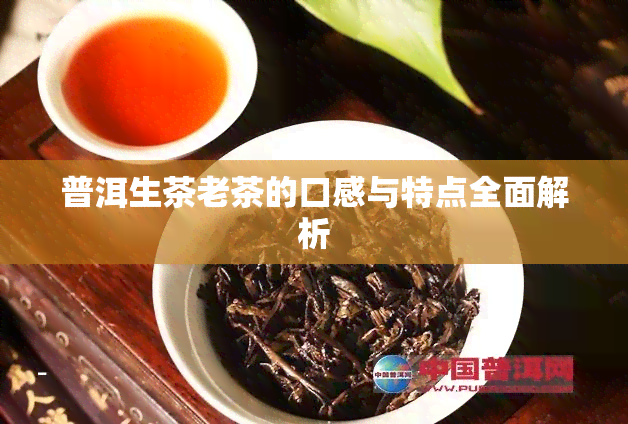 普洱生茶老茶的口感与特点全面解析