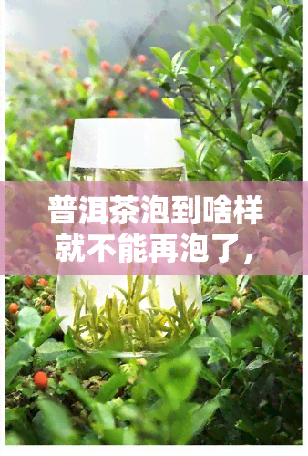 普洱茶泡到啥样就不能再泡了，普洱茶冲泡指南：何时停止再续水？