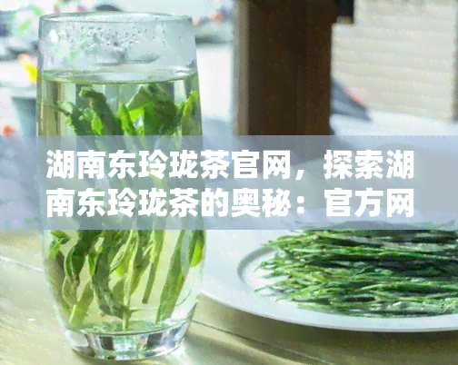 湖南东玲珑茶官网，探索湖南东玲珑茶的奥秘：官方网站全面解析