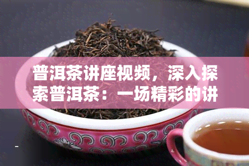 普洱茶讲座视频，深入探索普洱茶：一场精彩的讲座视频