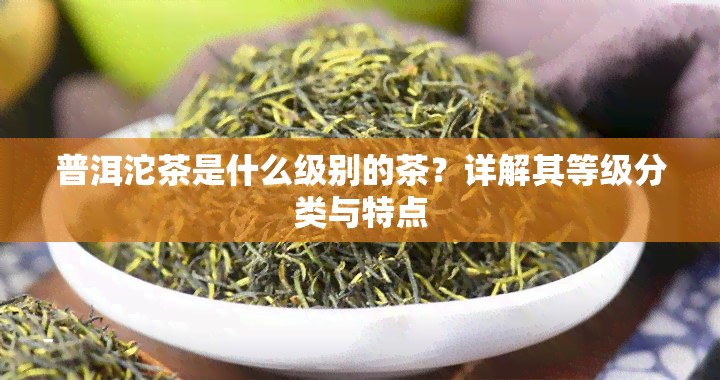 普洱沱茶是什么级别的茶？详解其等级分类与特点