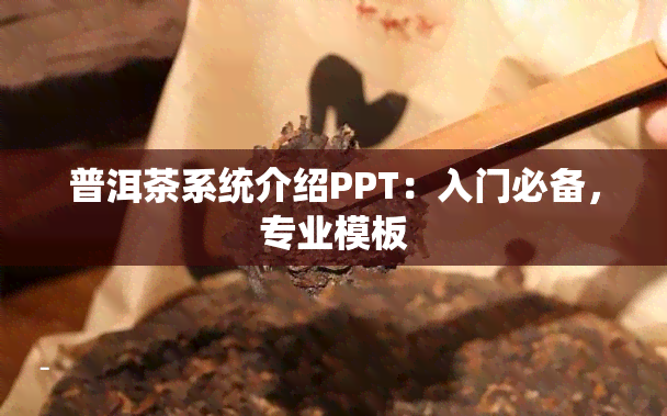 普洱茶系统介绍PPT：入门必备，专业模板