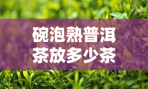 碗泡熟普洱茶放多少茶叶，如何泡制美味的熟普洱茶？碗中应放多少茶叶？