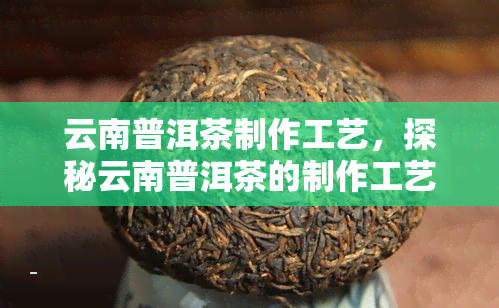 云南普洱茶制作工艺，探秘云南普洱茶的制作工艺：从采摘到烘焙的全过程解析