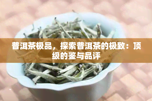 普洱茶极品，探索普洱茶的极致：顶级的鉴与品评