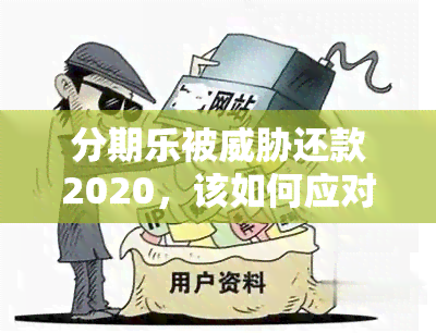 分期乐被还款2020，该如何应对？