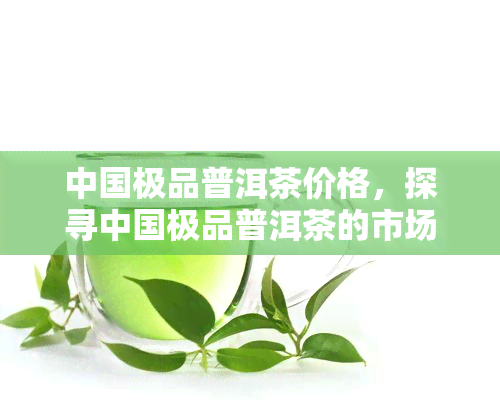 中国极品普洱茶价格，探寻中国极品普洱茶的市场价格与品质之谜