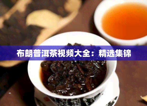 布朗普洱茶视频大全：精选集锦