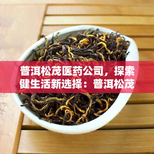 普洱松茂医公司，探索健生活新选择：普洱松茂医公司的创新产品与服务