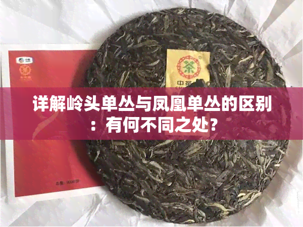 详解岭头单丛与凤凰单丛的区别：有何不同之处？