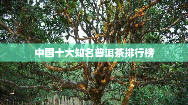 中国十大知名普洱茶排行榜