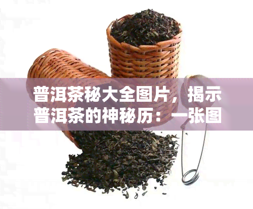 普洱茶秘大全图片，揭示普洱茶的神秘历：一张图带你了解全过程