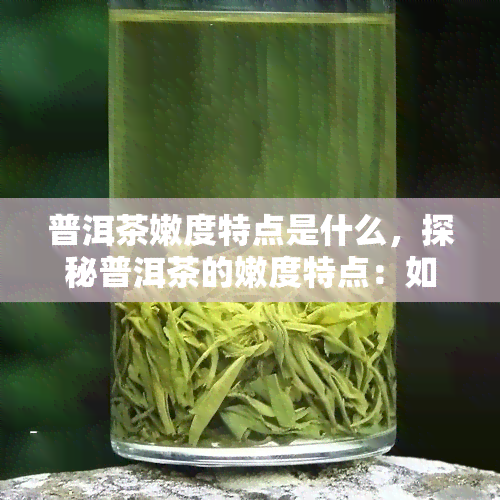 普洱茶嫩度特点是什么，探秘普洱茶的嫩度特点：如何判断茶叶的新程度？