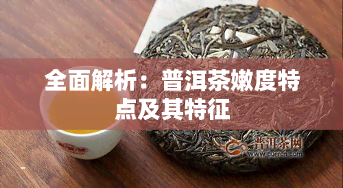 全面解析：普洱茶嫩度特点及其特征