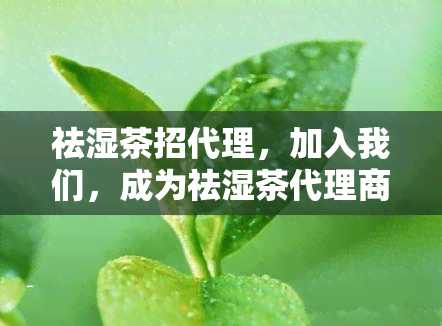 祛湿茶招代理，加入我们，成为祛湿茶代理商！