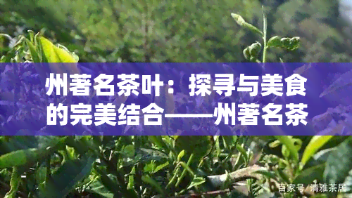 州著名茶叶：探寻与美食的完美结合——州著名茶叶蛋