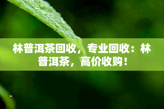 林普洱茶回收，专业回收：林普洱茶，高价收购！