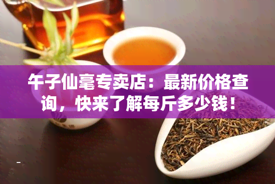 午子仙毫专卖店：最新价格查询，快来了解每斤多少钱！