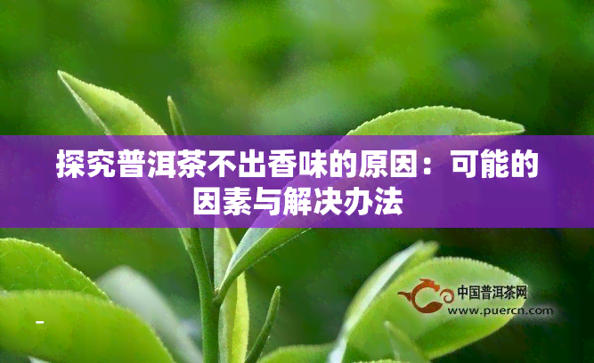 探究普洱茶不出香味的原因：可能的因素与解决办法