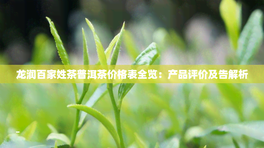 龙润百家姓茶普洱茶价格表全览：产品评价及告解析