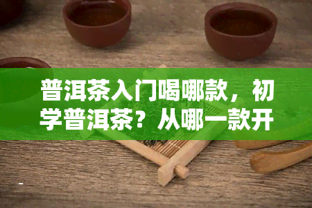 普洱茶入门喝哪款，初学普洱茶？从哪一款开始入门？