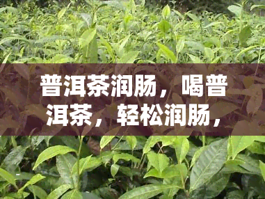 普洱茶润肠，喝普洱茶，轻松润肠，健生活从这里开始！