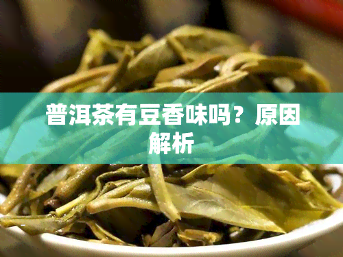 普洱茶有豆香味吗？原因解析