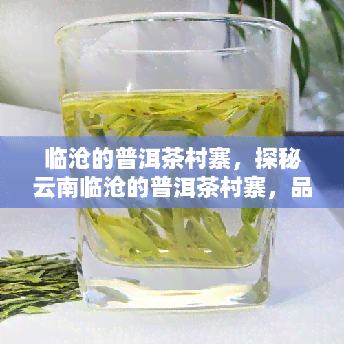 临沧的普洱茶村寨，探秘云南临沧的普洱茶村寨，品味千年茶文化