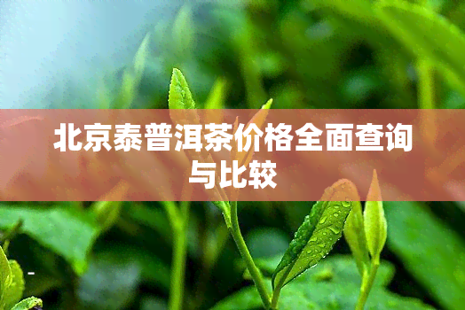 北京泰普洱茶价格全面查询与比较