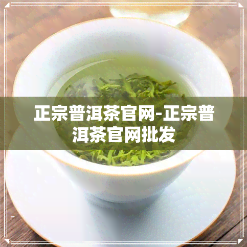 正宗普洱茶官网-正宗普洱茶官网批发