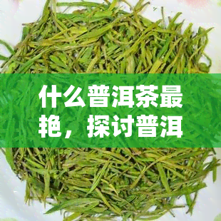 什么普洱茶最艳，探讨普洱茶中最艳的颜色来源