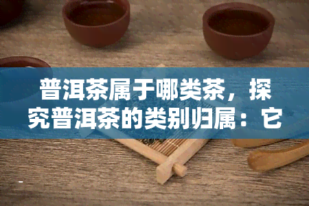 普洱茶属于哪类茶，探究普洱茶的类别归属：它属于哪一类茶？