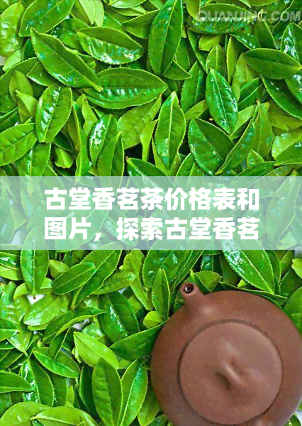 古堂香茗茶价格表和图片，探索古堂香茗茶的独特魅力：价格表与精美图片一览