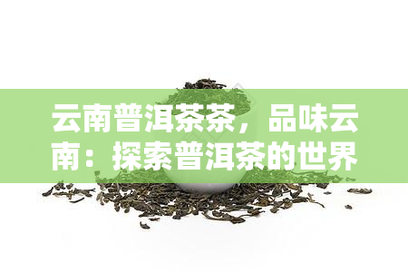 云南普洱茶茶，品味云南：探索普洱茶的世界，体验独特的茶文化