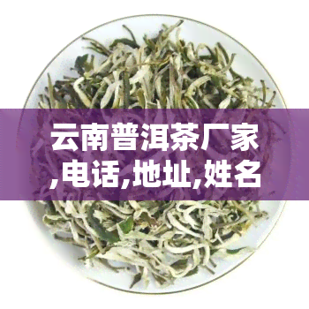 云南普洱茶厂家,电话,地址,姓名，探寻云南普洱茶的源头：厂家、电话、地址及制茶大师姓名一览