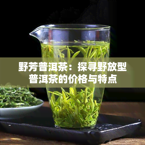 野芳普洱茶：探寻野放型普洱茶的价格与特点